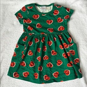 Hanna Andersson Green Dress with Ladybug Print